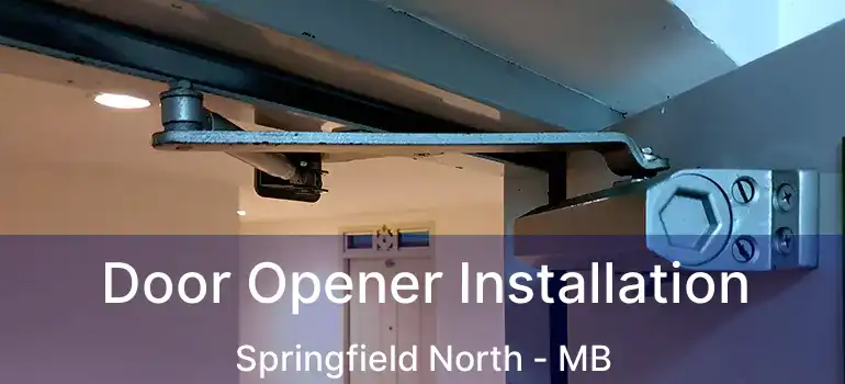  Door Opener Installation Springfield North - MB