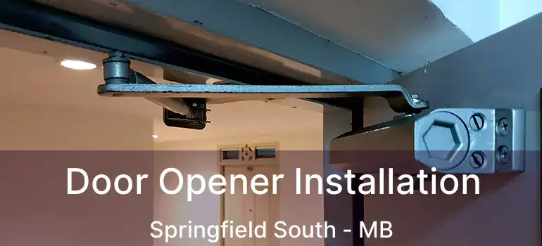  Door Opener Installation Springfield South - MB