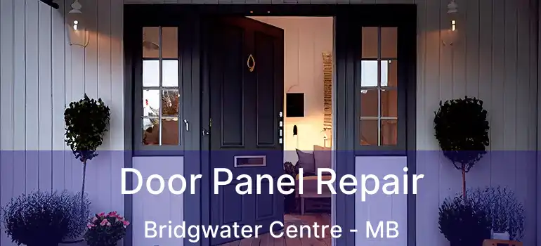  Door Panel Repair Bridgwater Centre - MB