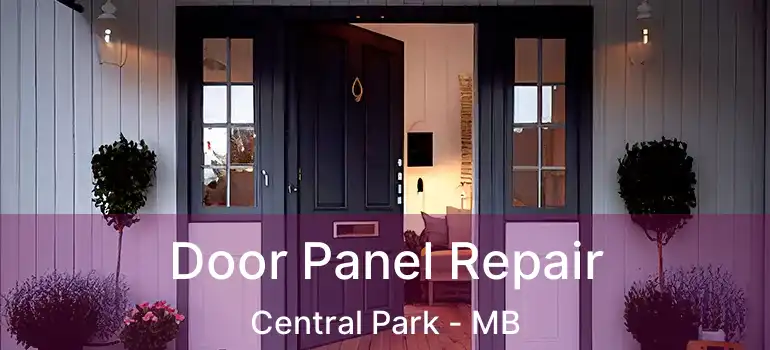  Door Panel Repair Central Park - MB