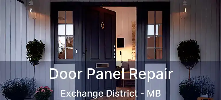  Door Panel Repair Exchange District - MB