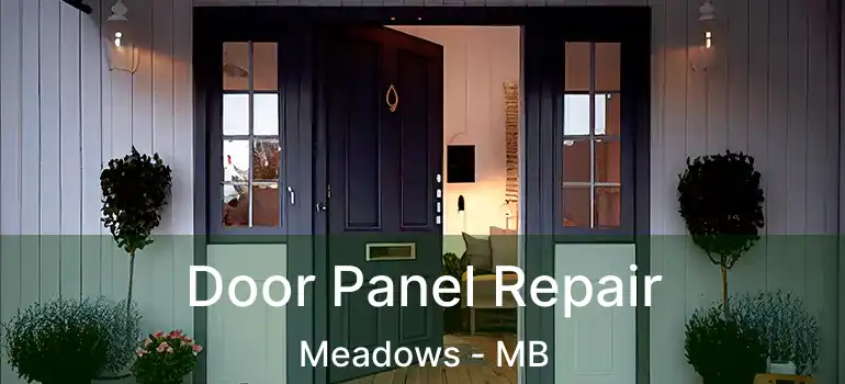  Door Panel Repair Meadows - MB