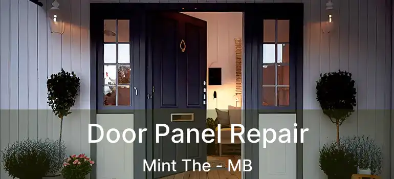  Door Panel Repair Mint The - MB