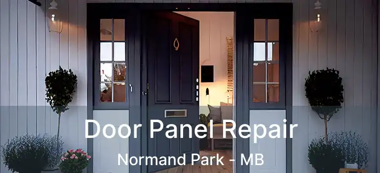  Door Panel Repair Normand Park - MB