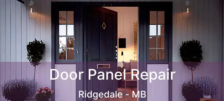  Door Panel Repair Ridgedale - MB