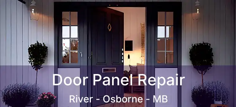  Door Panel Repair River - Osborne - MB