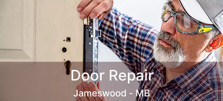 Door Repair Jameswood - MB