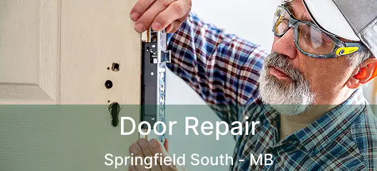  Door Repair Springfield South - MB