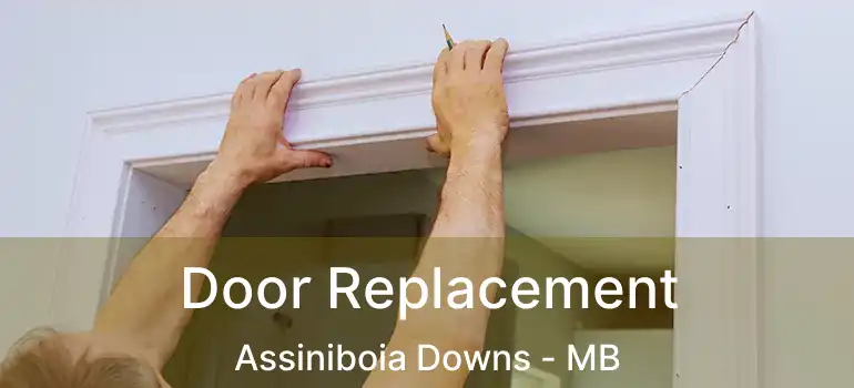  Door Replacement Assiniboia Downs - MB