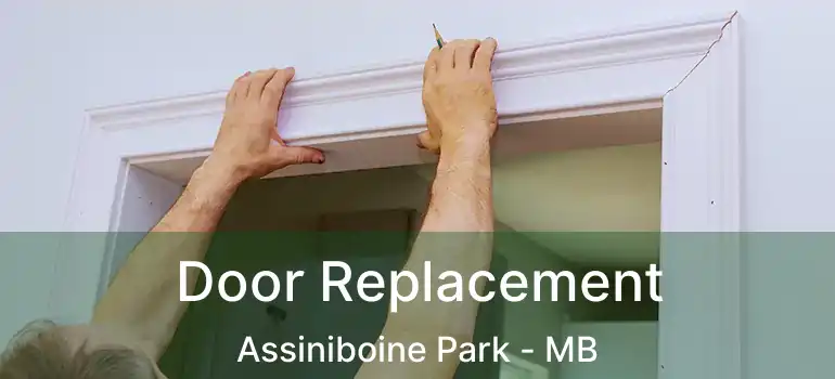  Door Replacement Assiniboine Park - MB