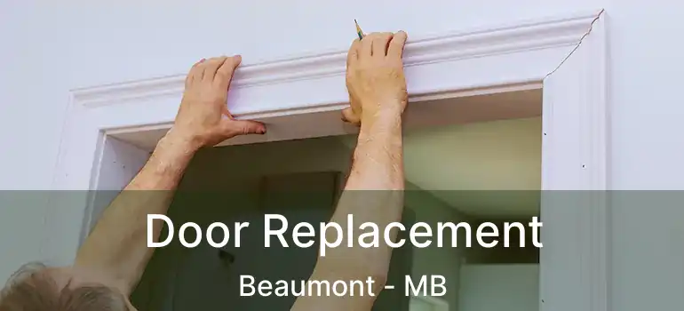  Door Replacement Beaumont - MB