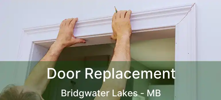  Door Replacement Bridgwater Lakes - MB