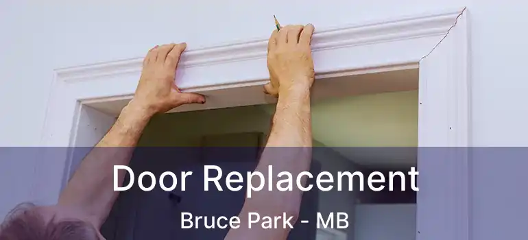  Door Replacement Bruce Park - MB