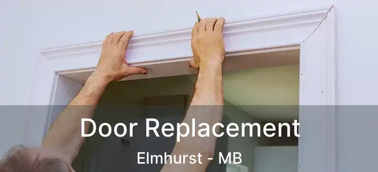  Door Replacement Elmhurst - MB