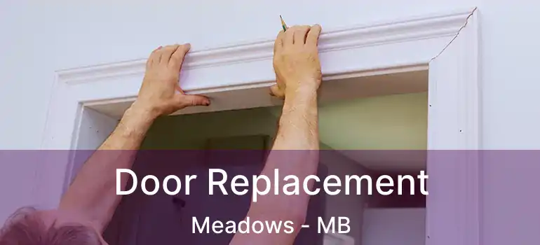  Door Replacement Meadows - MB