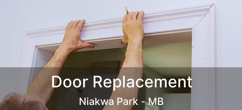  Door Replacement Niakwa Park - MB