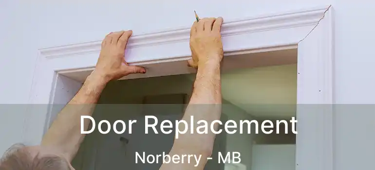  Door Replacement Norberry - MB