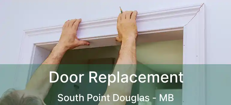 Door Replacement South Point Douglas - MB