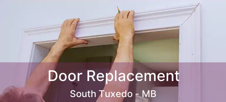  Door Replacement South Tuxedo - MB