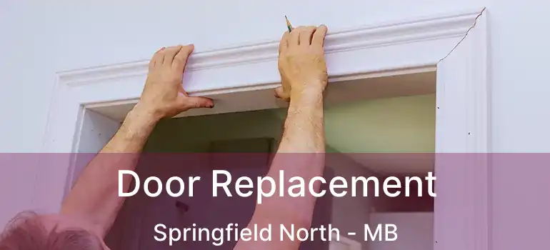  Door Replacement Springfield North - MB
