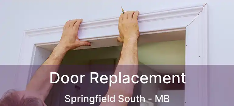  Door Replacement Springfield South - MB