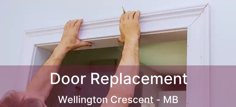  Door Replacement Wellington Crescent - MB