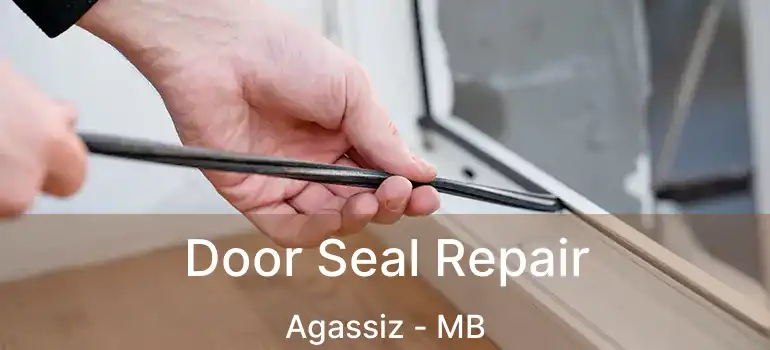  Door Seal Repair Agassiz - MB