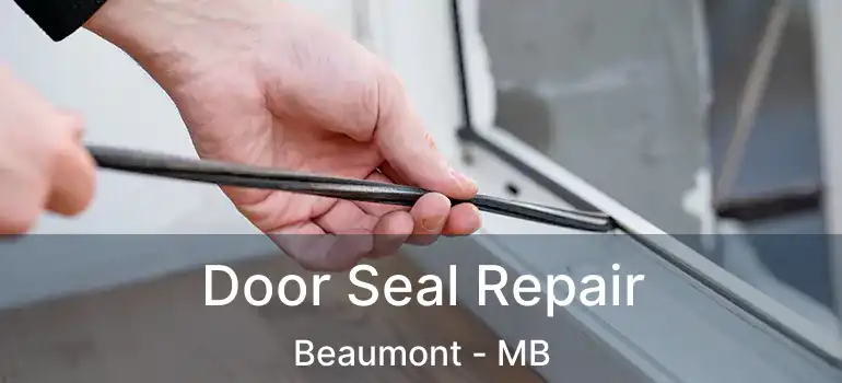  Door Seal Repair Beaumont - MB