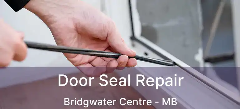  Door Seal Repair Bridgwater Centre - MB