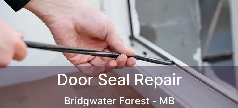  Door Seal Repair Bridgwater Forest - MB