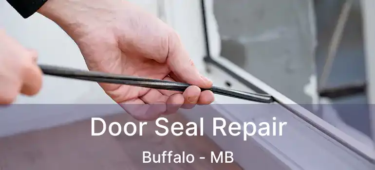  Door Seal Repair Buffalo - MB