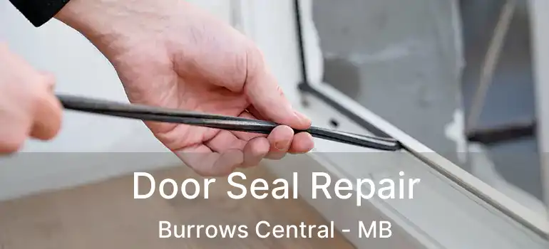  Door Seal Repair Burrows Central - MB