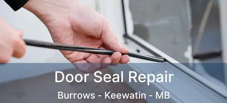  Door Seal Repair Burrows - Keewatin - MB