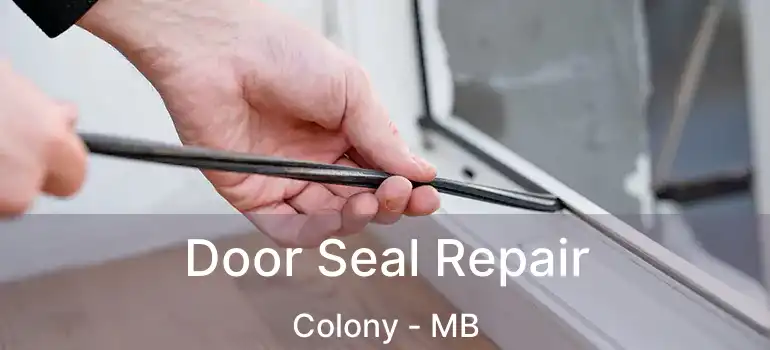  Door Seal Repair Colony - MB