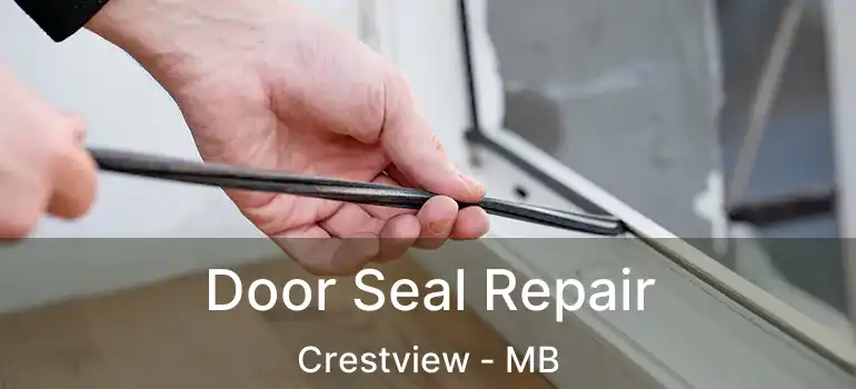  Door Seal Repair Crestview - MB