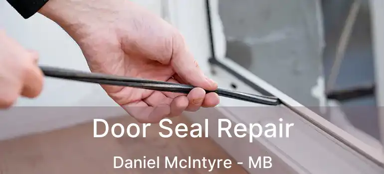  Door Seal Repair Daniel McIntyre - MB