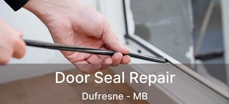  Door Seal Repair Dufresne - MB