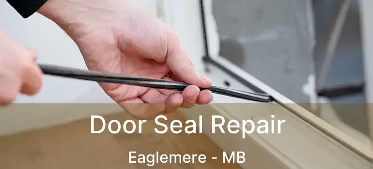  Door Seal Repair Eaglemere - MB