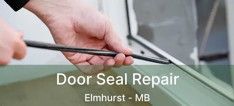  Door Seal Repair Elmhurst - MB