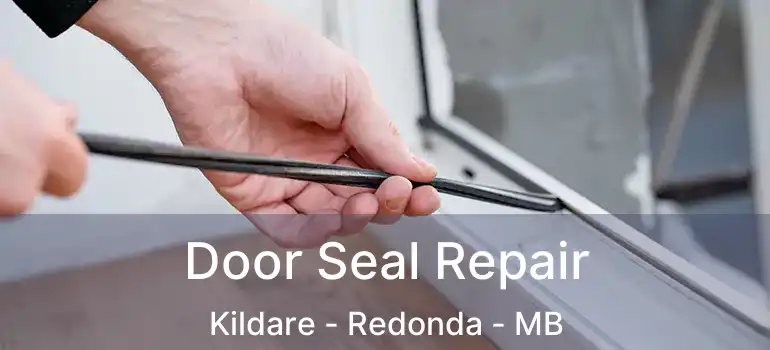  Door Seal Repair Kildare - Redonda - MB