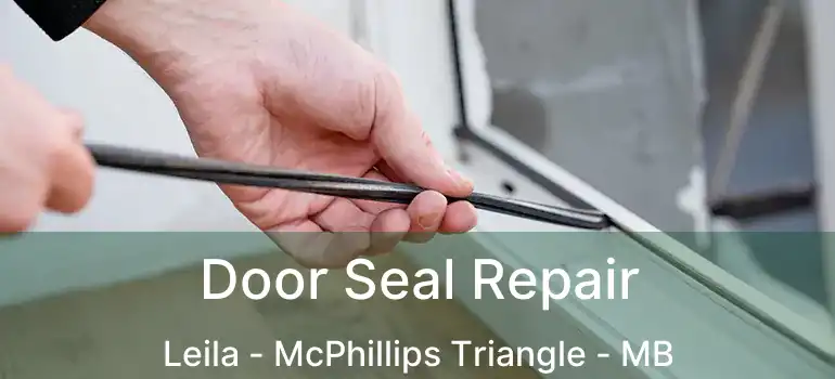  Door Seal Repair Leila - McPhillips Triangle - MB