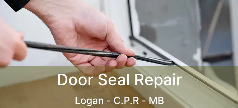  Door Seal Repair Logan - C.P.R - MB