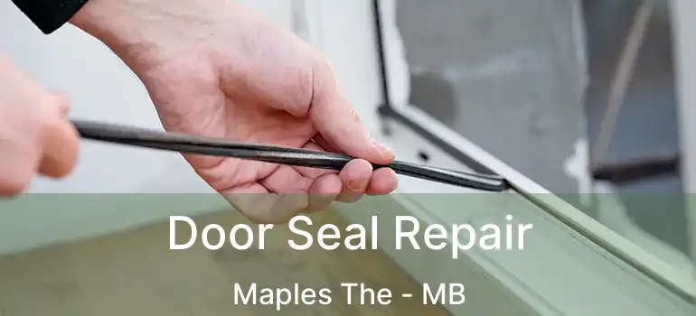  Door Seal Repair Maples The - MB