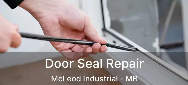  Door Seal Repair McLeod Industrial - MB