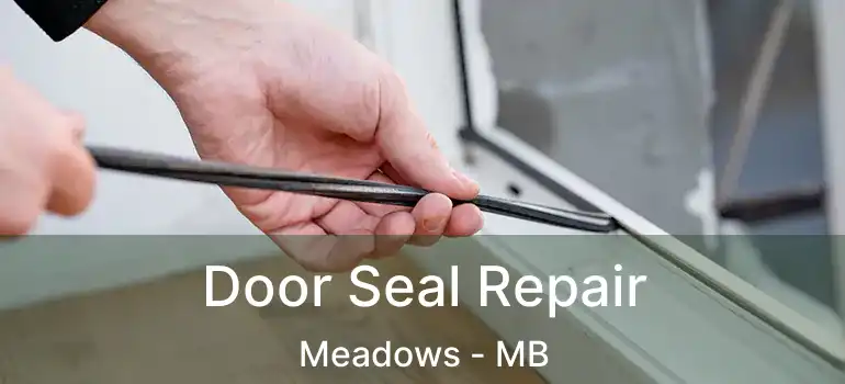  Door Seal Repair Meadows - MB