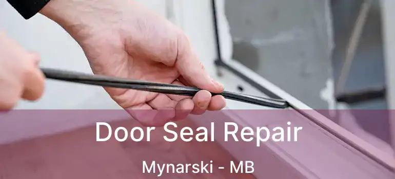  Door Seal Repair Mynarski - MB