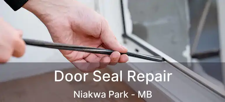  Door Seal Repair Niakwa Park - MB