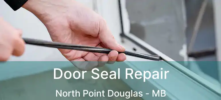  Door Seal Repair North Point Douglas - MB