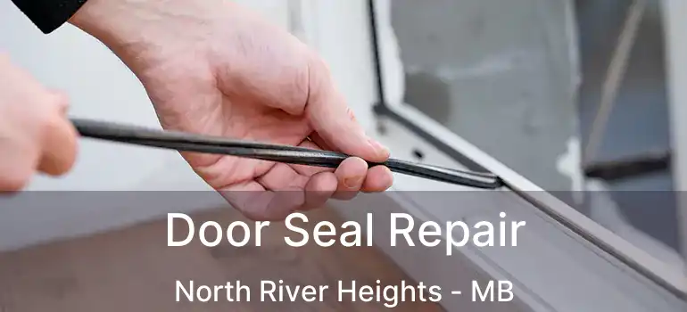 Door Seal Repair North River Heights - MB