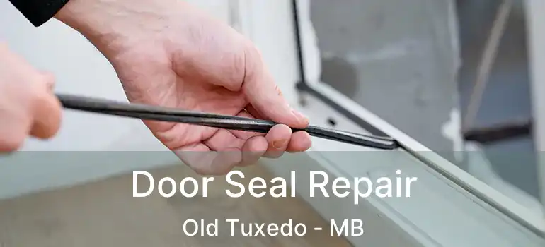  Door Seal Repair Old Tuxedo - MB